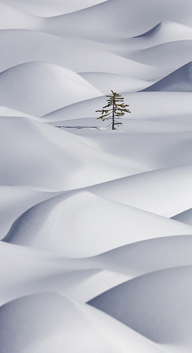 713贵宾会检测线路(中国)股份有限公司