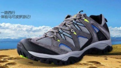 713贵宾会检测线路(中国)股份有限公司